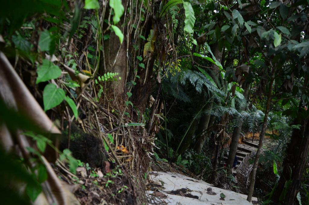The Woodz Homestay Tanah Rata Ngoại thất bức ảnh