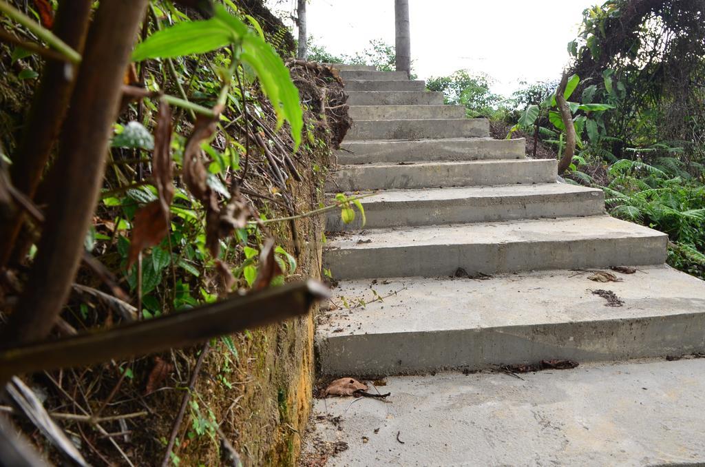 The Woodz Homestay Tanah Rata Ngoại thất bức ảnh