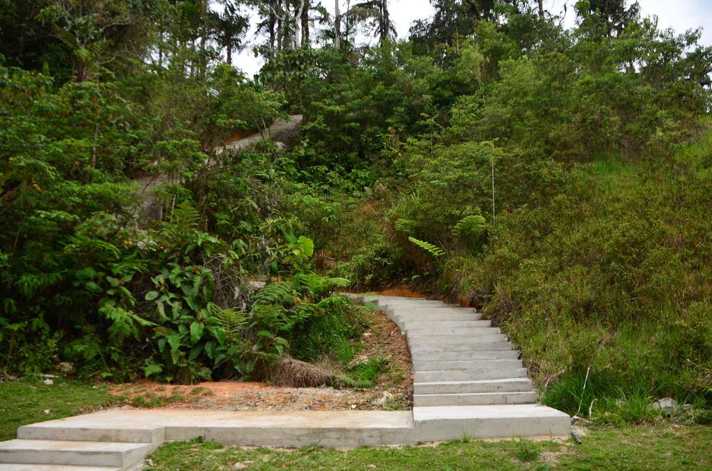 The Woodz Homestay Tanah Rata Ngoại thất bức ảnh